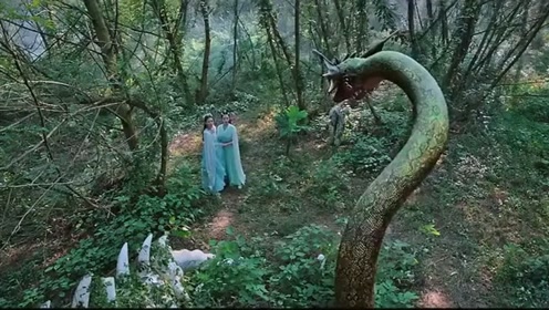 海大鱼:海大鱼爱上阿狸了,还让阿狸怀孕了,心机女带走了阿狸