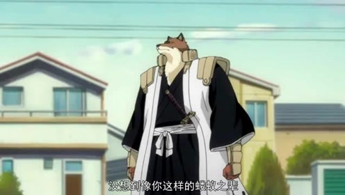 七番队 腾讯视频