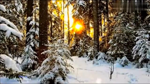 [图]钢琴曲《冬天的早晨》，有雪的冬季真美！