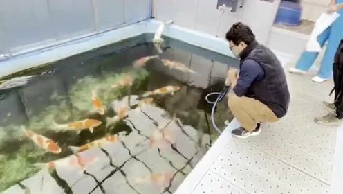 腾讯视频