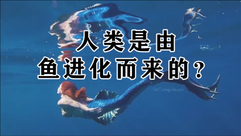 人类的祖先可能并不是猴子?科学家:我们可能是从鱼进化而来!