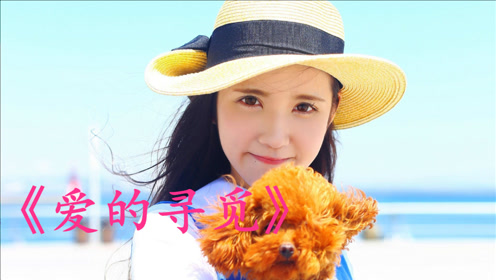 经典老歌:《爱的寻觅》美妙动听,让你重温经典,值得回味!