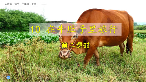 在牛的肚子里旅行 腾讯视频