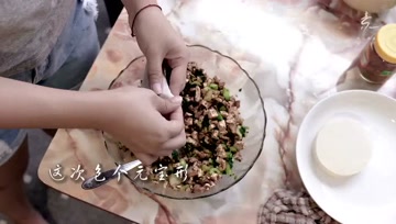 五香素食水饺，味道真是独一无二