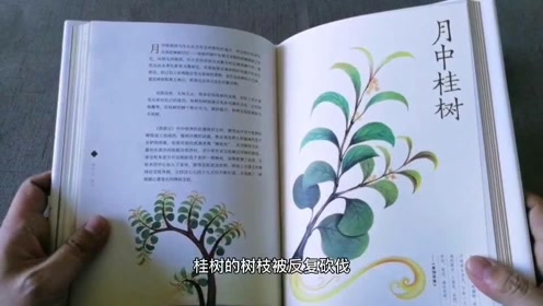[图]山海草木，古代神奇植物图卷