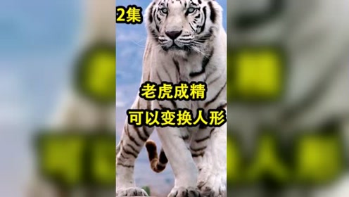 虎神电影 腾讯视频