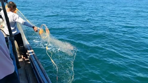 彪哥带着6000米渔网直奔外海,把软体海鲜捕了个遍,墨鱼章鱼鱿鱼都有