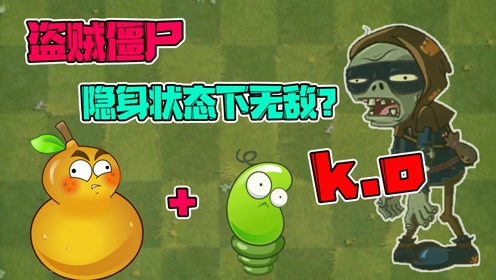 植物大战僵尸:盗贼僵尸在隐身状态下无敌?没带路灯花怎么办?