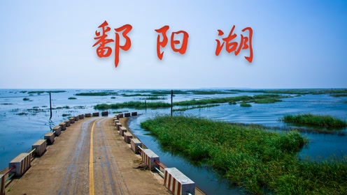 中国第一大淡水湖鄱阳湖,候鸟的天堂,风景美如画