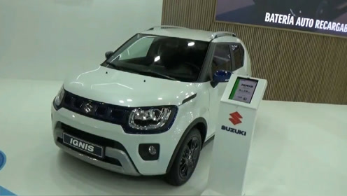 2022年鈴木ignis 1.2 glx混合動力四輪驅動