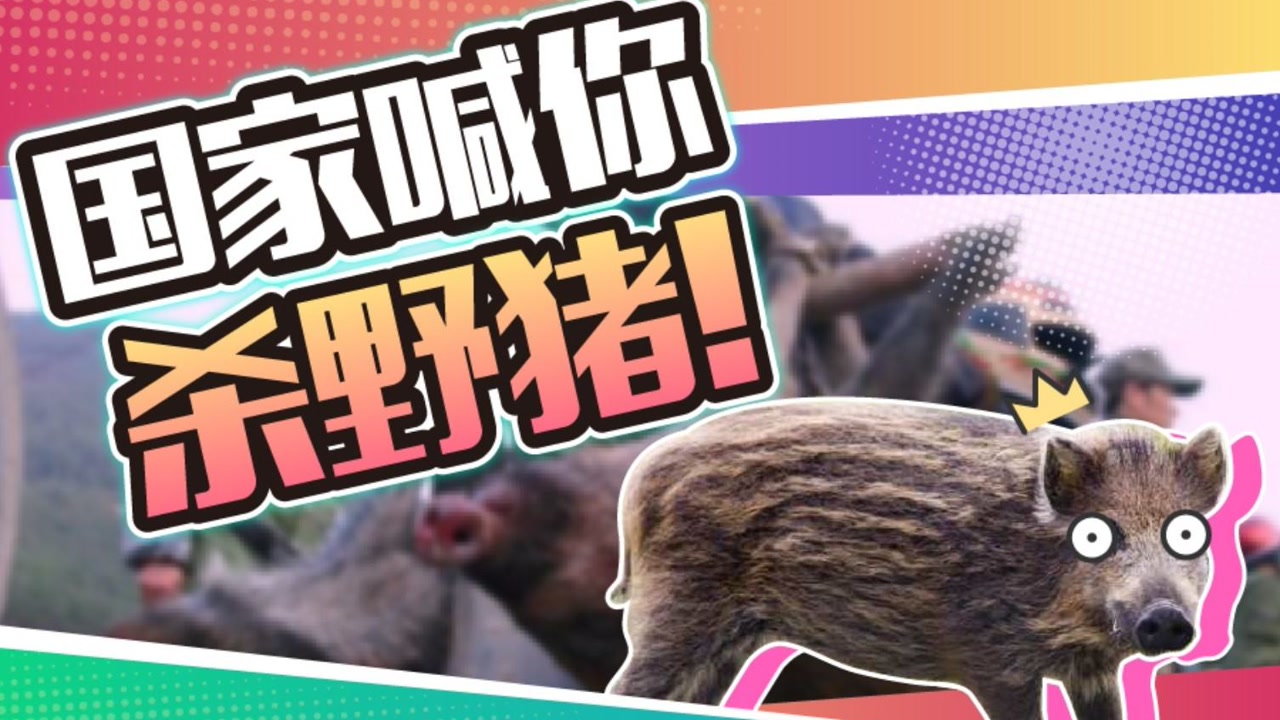野猪 猪科偶蹄动物 搜狗百科