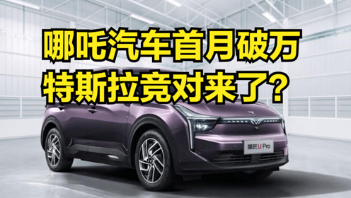 露副汽车，探索未来出行的无限可能，露副汽车，探索未来出行的无限可能
