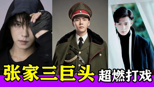张家三巨头超燃打戏,张起灵张启山到张日山,魅力十足帅到掉渣