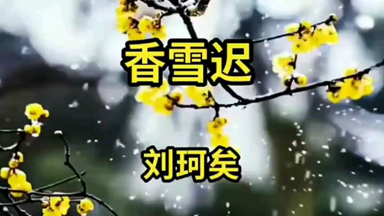 一曲唯美动听的古风音乐《香雪迟》刘珂矣演唱,超好听!