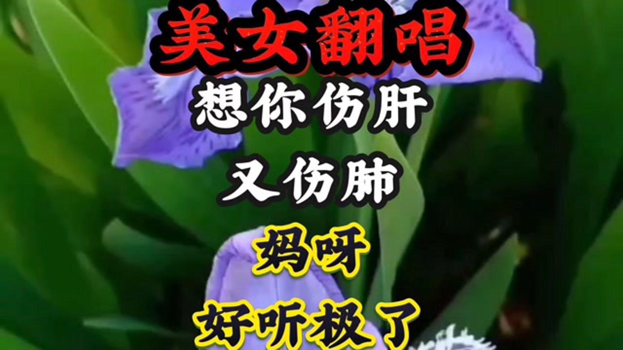 美女翻唱一首《想你伤肝又伤肺》妈呀唱的太好听了