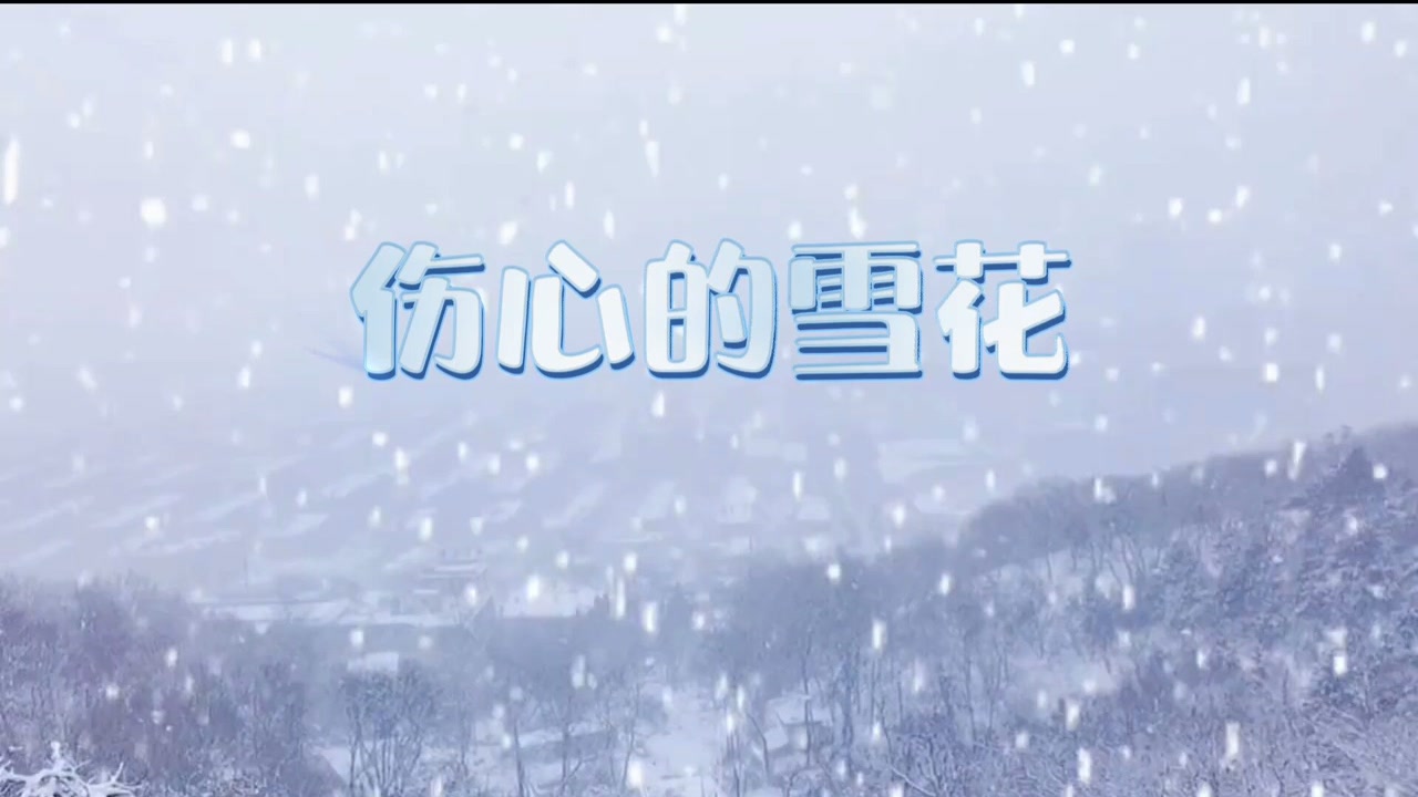 最伤感情歌伤心的雪花被对方抛弃心如雪冷歌声伤感清亮入耳刺心