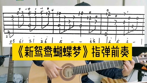 新鸳鸯蝴蝶梦指弹金曲跟谱视奏泛音练习干货分享
