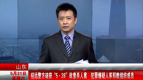 528杀人案 腾讯视频