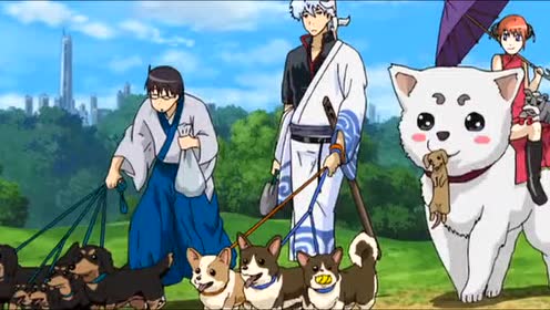 银魂第1季 腾讯视频