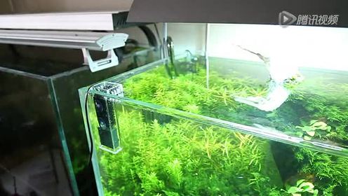 去油膜器 腾讯视频