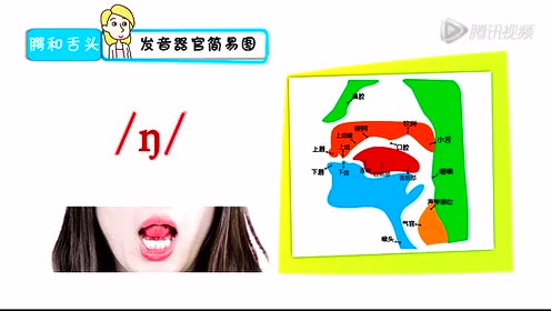 发音器官 腾讯视频
