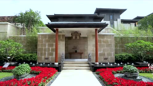 院墅人生-保利山渐青·如院