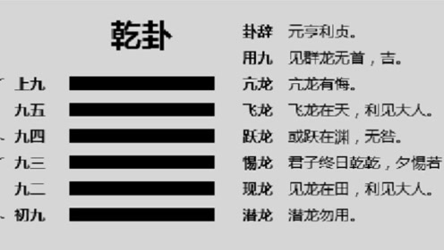 乾卦潜龙勿用,潜龙勿用卦象_大山谷图库
