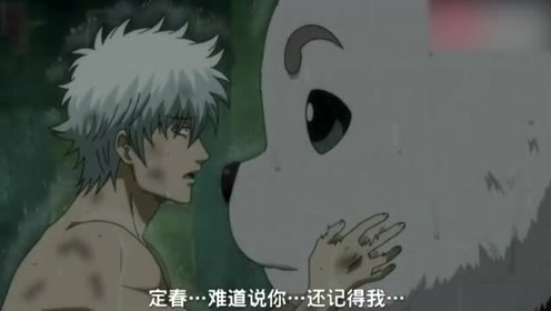 银魂定春 腾讯视频