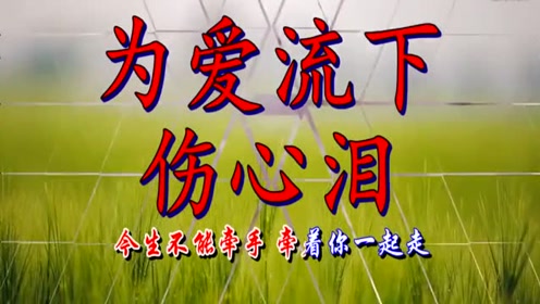 一首伤感歌曲《为爱流下伤心泪》男人听了流泪,女人听了心碎!