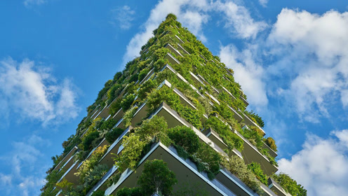 看国外把森林搬进大楼,足足2万棵,未来绿色建筑方向