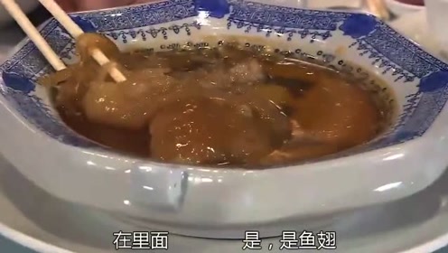 鲨鱼翅 腾讯视频