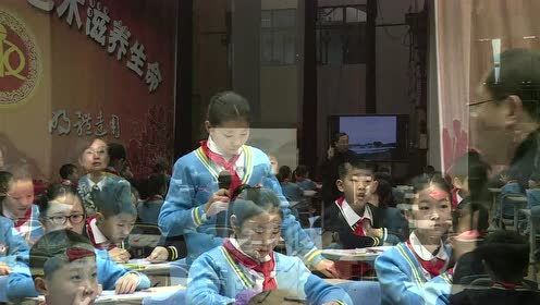 名师风采-王崧舟优质示范课 