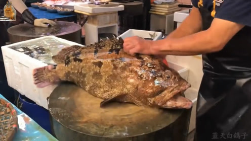 野生黄皮老虎斑25斤重 这么罕见的大鱼不该被买卖 腾讯视频