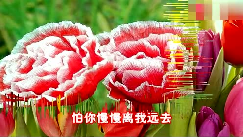 此歌绝对有毒,听一次就上瘾,单曲循环一遍又一遍!