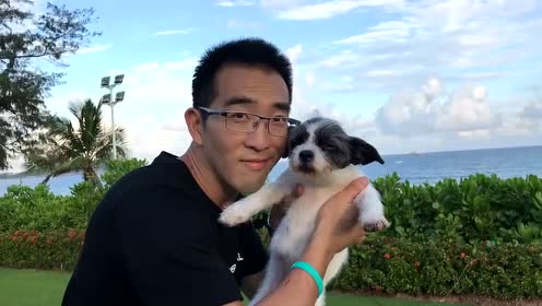 吴起宠物工作室2018