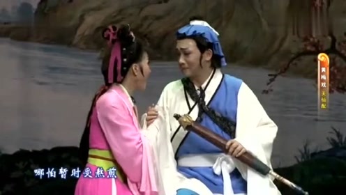 黄梅戏《天仙配》"卖身纸写的是无挂无牵",袁媛,梅院军演唱
