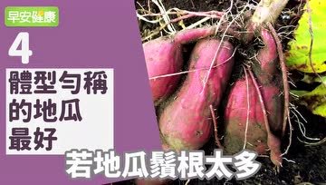 地瓜低GI、高纤维、高营养，该怎么吃？怎么选？快来学学吧！