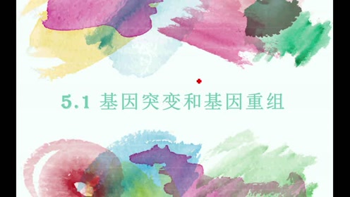 高中生物必修二《遗传与进化》5.1 基因突变和基因重组
