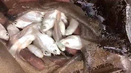 腾讯视频