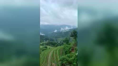 下雨景色 腾讯视频