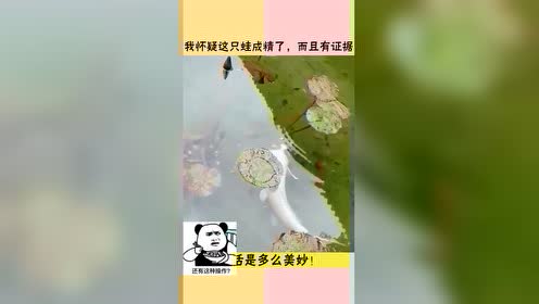 蛙脸 腾讯视频