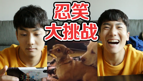 0:09:301234下一页咪咕视频伶可兄弟之美食吃货系列爱奇艺伶可兄弟爱