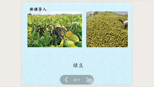冀教版二年级科学下册