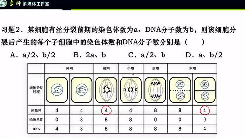腾讯视频