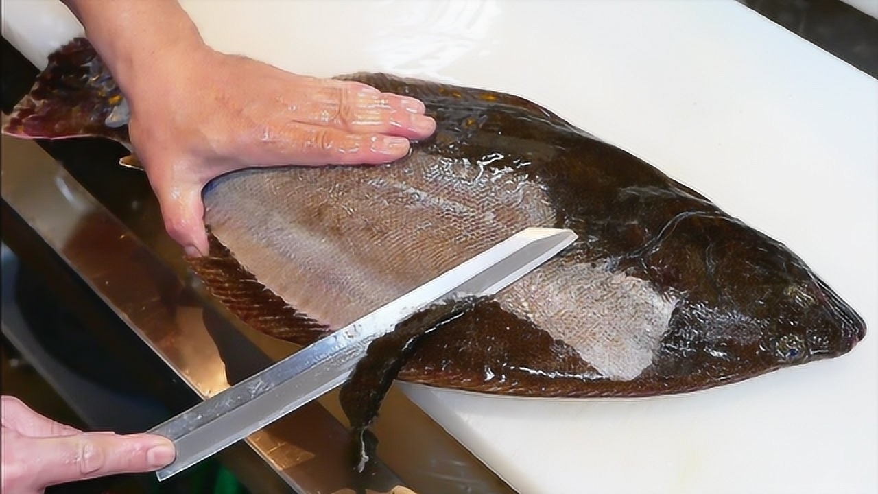 比目鱼(辐鳍鱼纲鲽形目动物)_搜狗百科