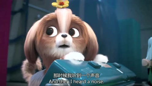 爱宠大机密2黛西看到马戏团的动物了这些动物真的是太可怜了啊