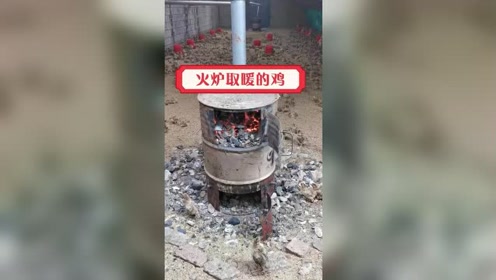 洋炉 腾讯视频