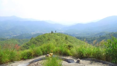 走乡下古海带你去看粤西名人风水蔡氏的将军勒马