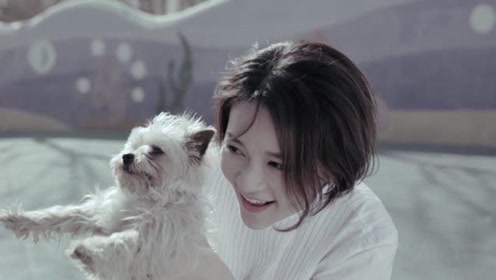 张泽熙《那个女孩》热评:没了心动的感觉,却羡慕别人的爱情.