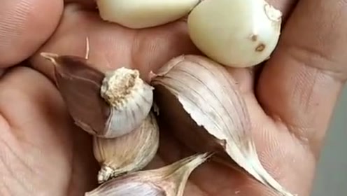腾讯视频